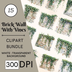15 Aquarell Mauer mit Reben Clipart, Handwerk Kunst Bundle, kommerzielle Nutzung, digitaler Download
