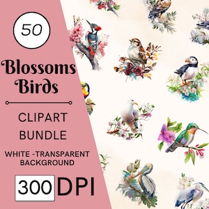 50 clipart de pássaros em aquarela, clipart de pássaros coloridos, clipart de primavera, ilustração de pássaros, pássaros e flores fofos, criação de cartões, clipart de animais