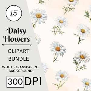 15 Daisy Flower Clipart, Wedding Bridal Shower Daisy Flower Clipart, Watercolor Daisy Flower Clipart PNG JPG, White Daisy Flowers