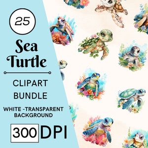 25 Watercolor Sea Turtle Clipart, Nautical Ocean Animals, PNG, JPG, Commercial Use, Digital Download