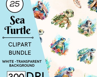 25 Watercolor Sea Turtle Clipart, Nautical Ocean Animals, PNG, JPG, Commercial Use, Digital Download