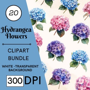 20 Hortensien in rosa, lila, blau, Clipart-Bundle, hochwertige JPG-Dateien, Kinderzimmer-Kunst, Kartenherstellung, Clip Art, digitales Papiermodell