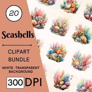 20 cliparts aquarelle coquillage, corail coquillages Clipart, clipart plage, lot de cliparts nautiques, clipart océan, scrapbooking, coquillage png