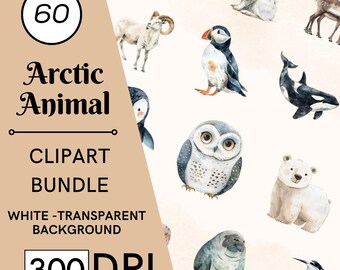 60 Arctic Animal Watercolor Clipart, Polar Bear, Penguin, Seal, Commercial Use, Digital Download