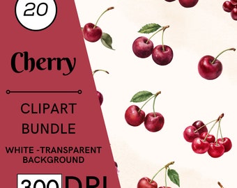 20 Watercolor Cherry Clipart, Fruit PNG, Fruit, Commercial Use, Digital Download