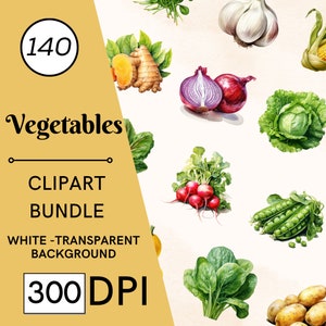 Lot de 140 aquarelles de légumes PNG, tomate, carotte, maïs, illustrations de légumes peints, clipart de légumes de la ferme, usage Commercial