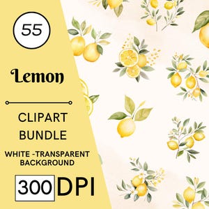 55 Lemon Watercolor Clipart, Citrus PNG Bundle, 300 DPI, Tropical, Fruit
