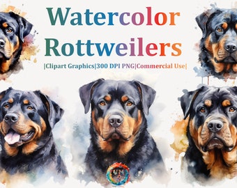 Set van 10 aquarel Rottweilers clipart bundel - 300 DPI PNG - Instant Download voor commercieel gebruik