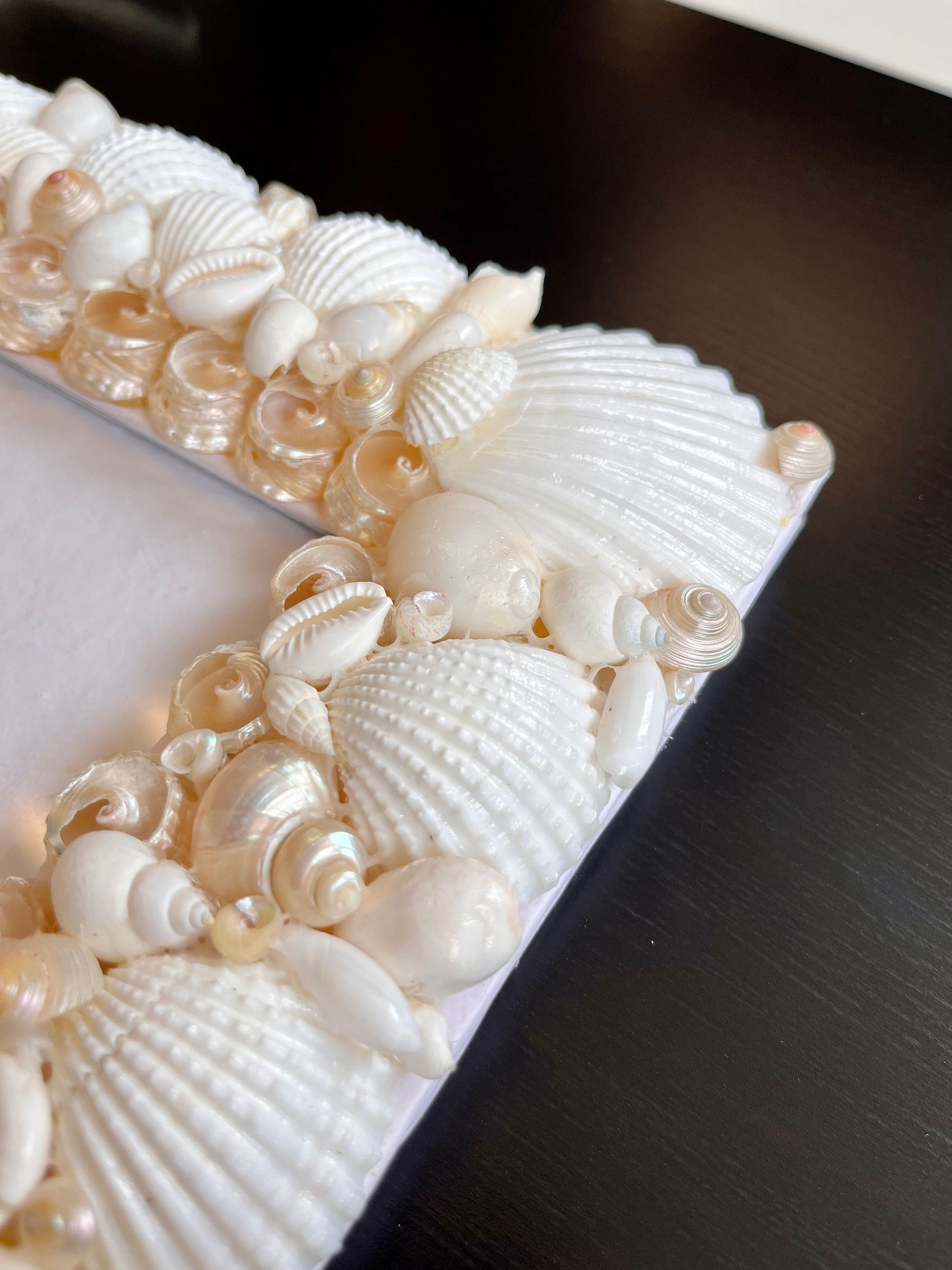 Seashell Photo Frame Etsy