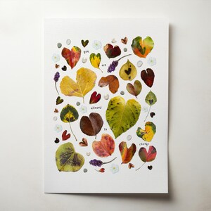 Heart Leaf Art Print: Minimalist Nature Wall Decor, Botanical Greenery (Digital Download)