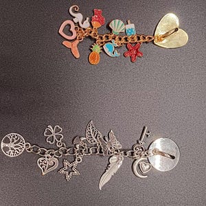 May include: Two metal charm bracelets. The top bracelet is gold-toned with colorful enamel charms including a heart, seahorse, pineapple, whale, seashell, popsicle, and starfish. The bottom bracelet is silver-toned with charms including a tree, clover, star, feather, moon, and key.