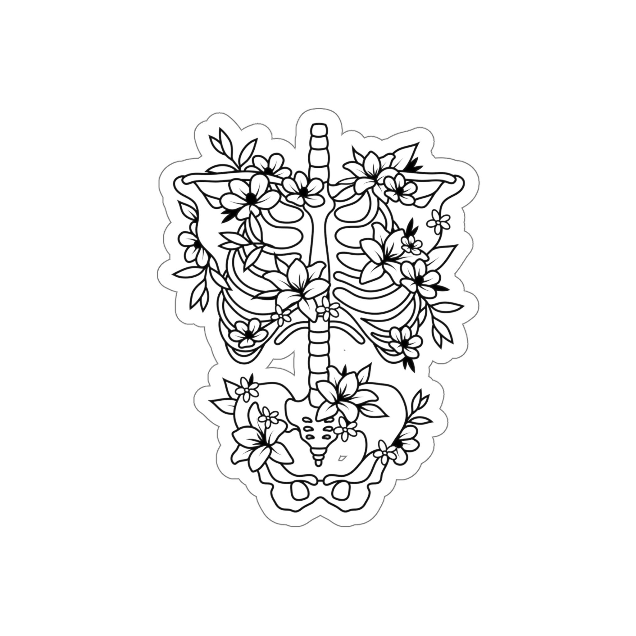 Skeleton Human Anatomy Sticker - Etsy