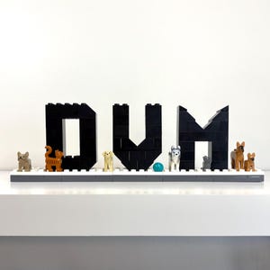 LEGO® DVM Sign: Veterinary Medicine Graduation Gift