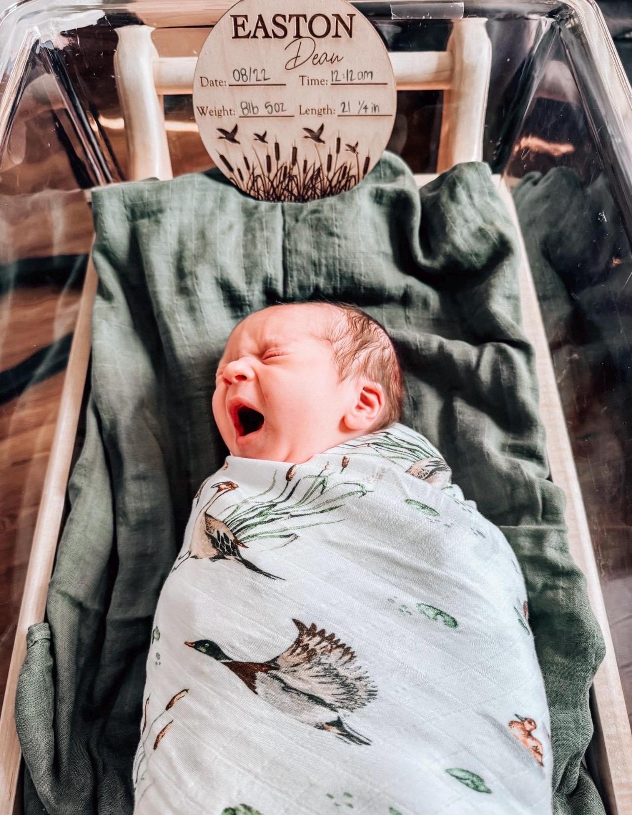 Country announcement sign, birth announcement, new baby, newborn, ducks, wood birth sign, birth stats, hi I’m new here, baby announcement