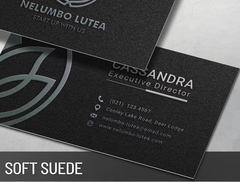 Plexus Business Card Independent Ambassador Business Card Design Free U.S. Shipping image 7