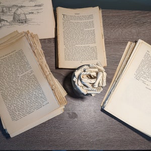 100 páginas sueltas de libros antiguos
