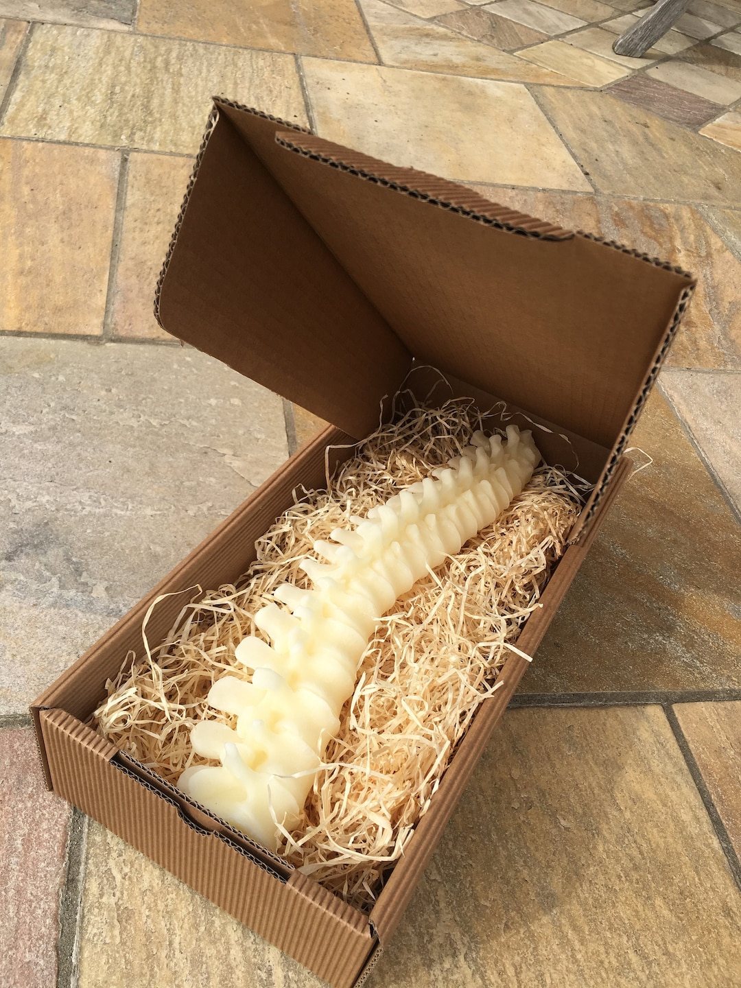 Spine Candle Made of 100 WHITE Beeswax in a Gift Box With Wood Wool