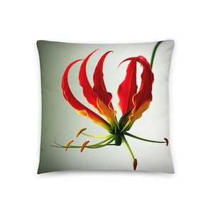 May include: A red and yellow flower with long, thin petals and a green stem. The flower is in bloom and has a delicate, intricate design.