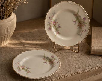 Vintage blommiga desserttallrikar, set om 2, WS George Radisson Kina, guldkantad porslin, Cottagecore Tea Party-tallrikar