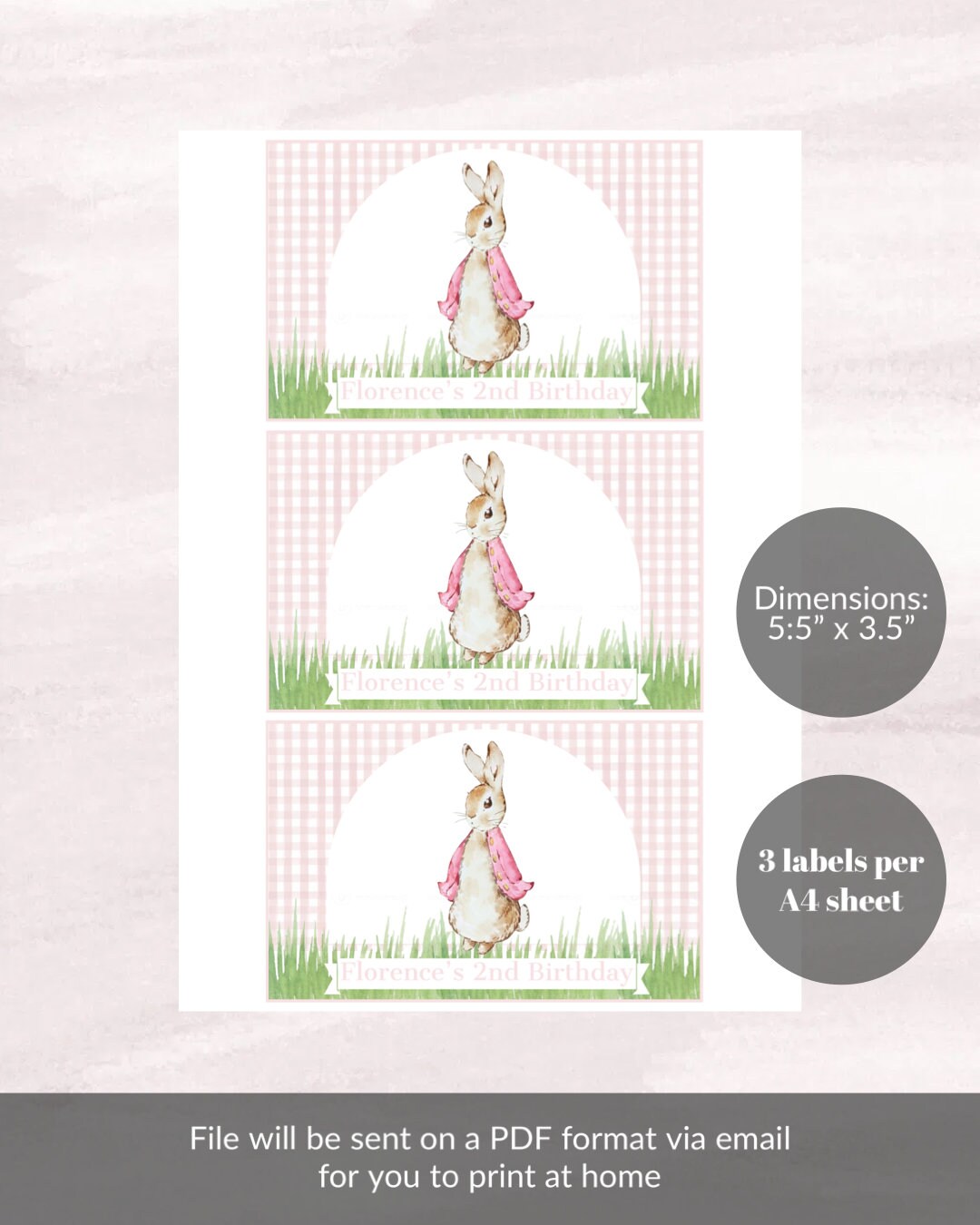 Peter Rabbit Name Labels Digital Peter Rabbit Gable Box Labels - Etsy