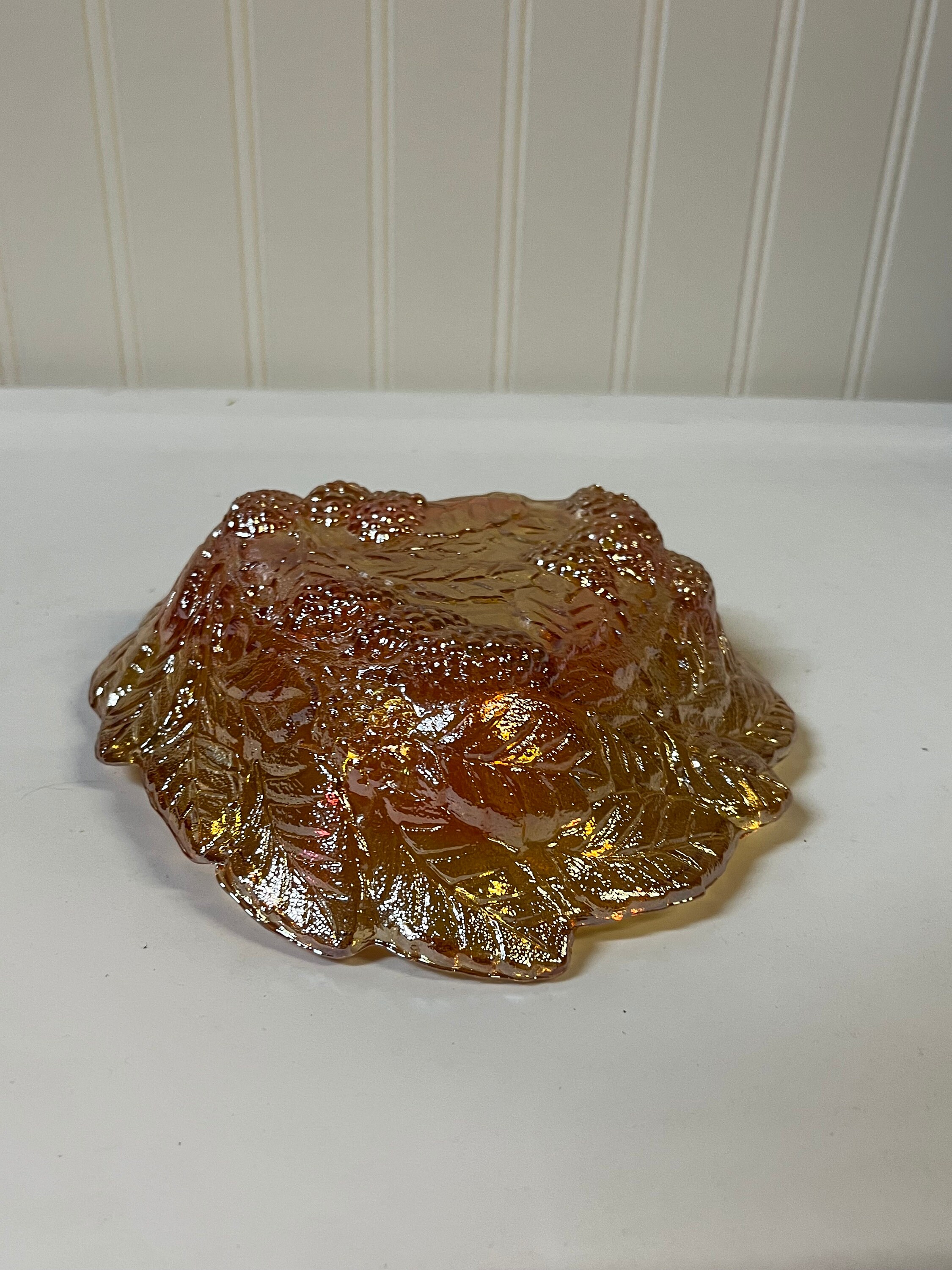 インディアナ ローガンベリー ハーベスト ゴールド/アンバー/マリー