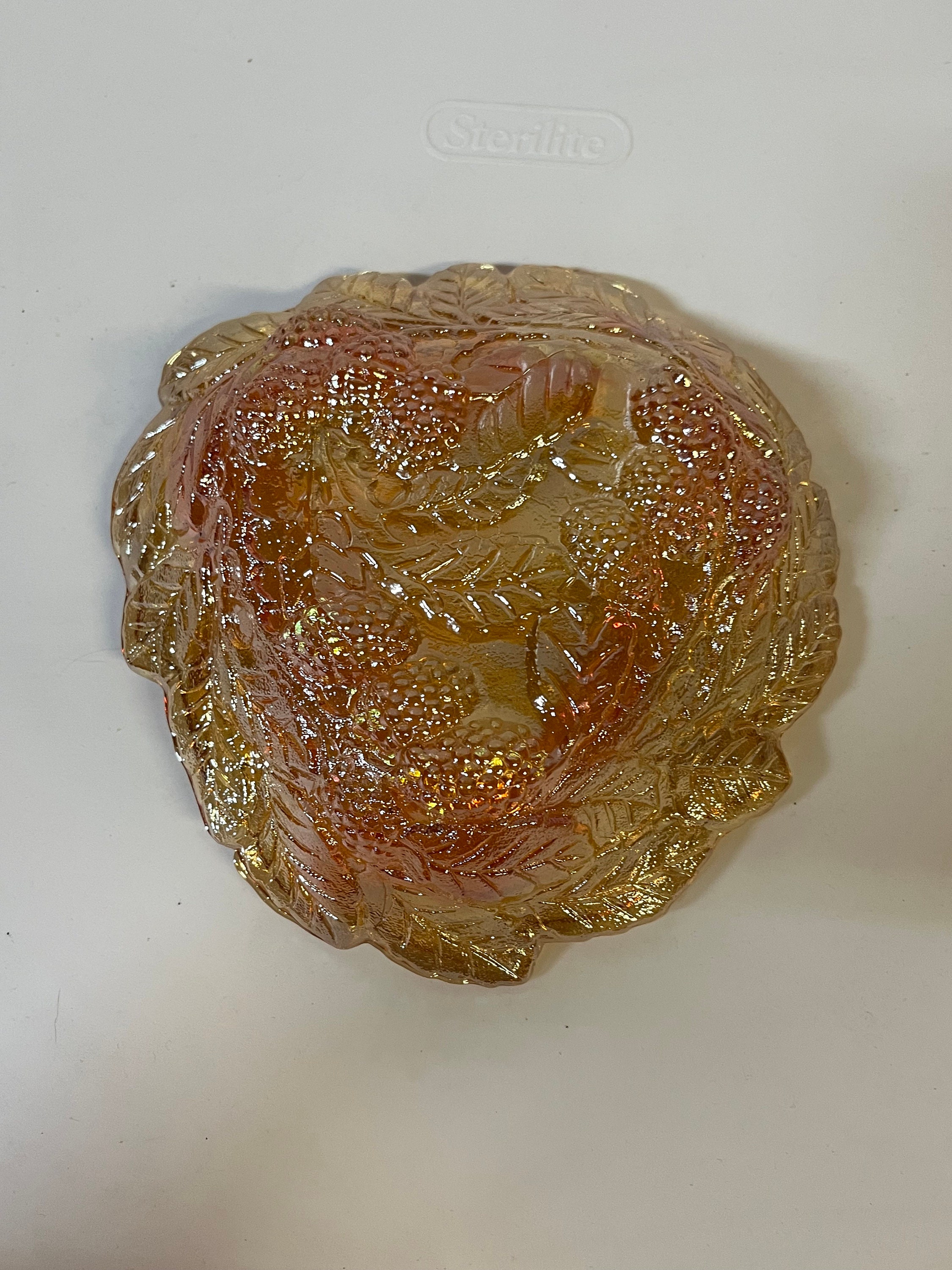 インディアナ ローガンベリー ハーベスト ゴールド/アンバー/マリー