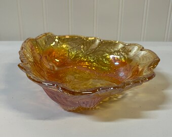 インディアナ ローガンベリー ハーベスト ゴールド/アンバー/マリー