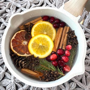 May include: A white ceramic pot filled with water, orange slices, cranberries, cinnamon sticks, cloves, pine sprigs, and pine cones. The pot is on a gray crocheted surface.