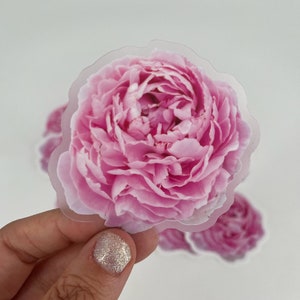 Peony Flower Sticker 3x3in