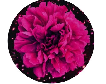 Midnight Peony Flower Sticker 3x3in
