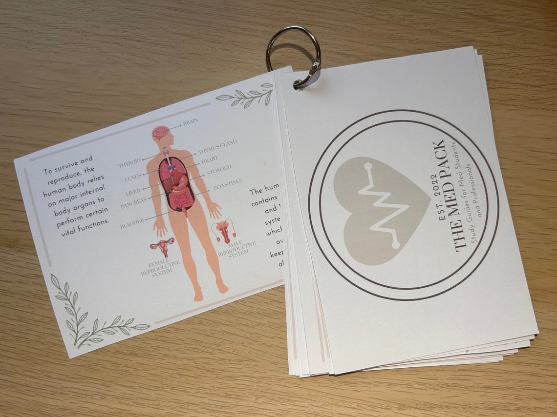 Internal Organs Summary Flashcards for Medical Students, Nurses ...