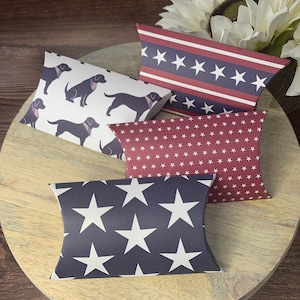 Patriotic 4th of July Favor Boxes: BBQ Party Treat Boxes with Tag