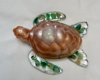 Turtles with shells and rocks