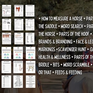 Western Riding Instructor's Rainy Day Activities - Printable Worksheets & Games image 2