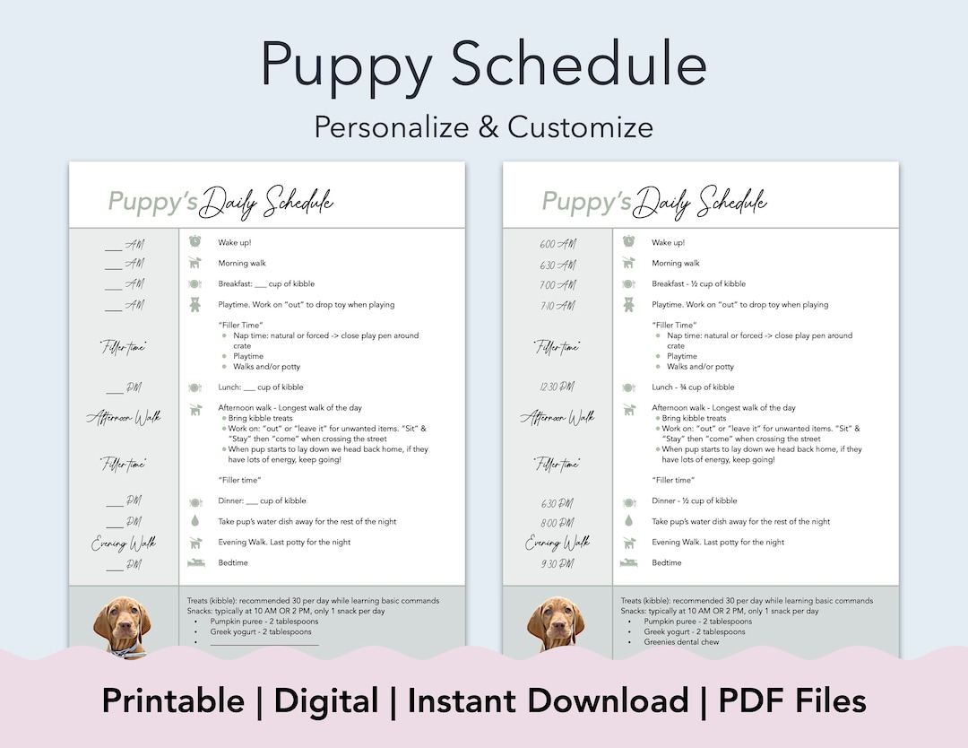 Puppy's Daily Schedule With Template Printable PDF Customize Puppy's Daily Schedule With Template Printable PDF Customize