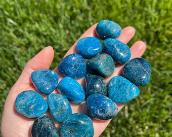 Puede incluir: Un puñado de piedras de apatito azul pulidas y rodadas. Las piedras varían en tonos de azul, desde turquesa claro hasta verde azulado oscuro, con un acabado liso y brillante. Las piedras se sostienen sobre un fondo de hierba verde.