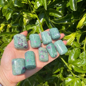 Peut inclure: Plusieurs pierres de rubis en zoïsite roulées, chacune présentant un mélange de teintes vertes et rouges. Les pierres sont tenues dans une main, avec un fond de feuillage vert luxuriant.