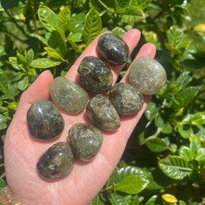 May include: A collection of tumbled green stones, varying in shades from olive to dark green, are held in an open hand. The stones have a smooth, polished appearance and are displayed against a backdrop of green foliage, with sunlight illuminating the scene.