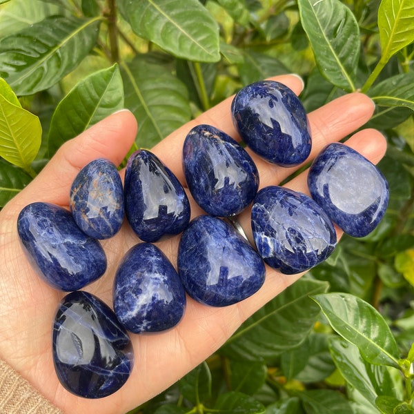 Sodalite Tumbled Stones