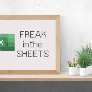 May include: A framed print with a green Excel logo and the text "FREAK in the SHEETS" on a white background. The frame is light brown wood and the print is sitting on a wooden shelf.