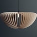 see more listings in the Large Pendant Lamps section