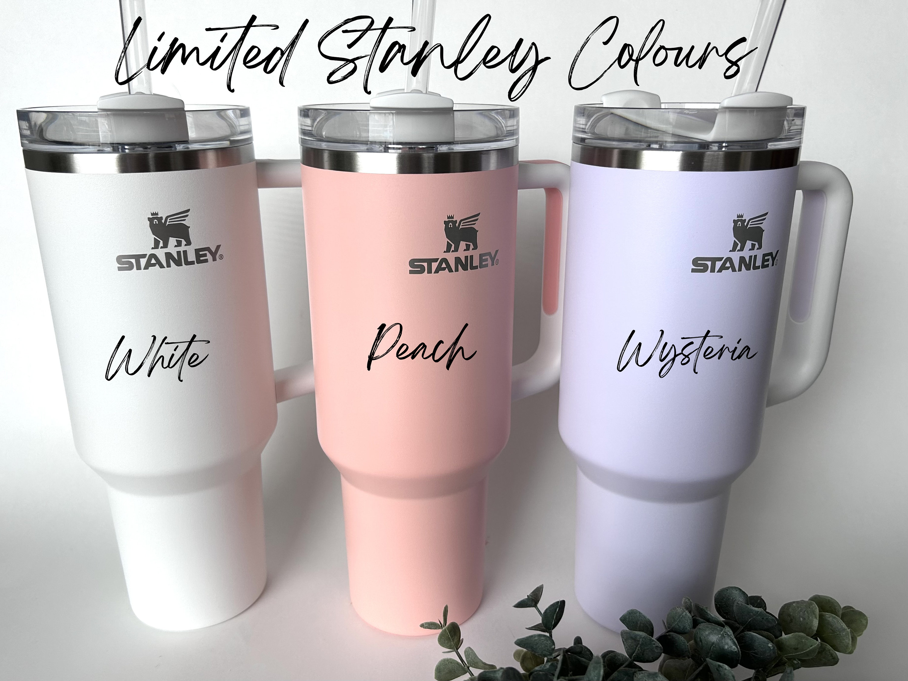 Only The Best Grandmas Get Promoted – Engraved Stainless Steel Tumbler,  Stainless Cup, Mom Gift – 3C Etching LTD