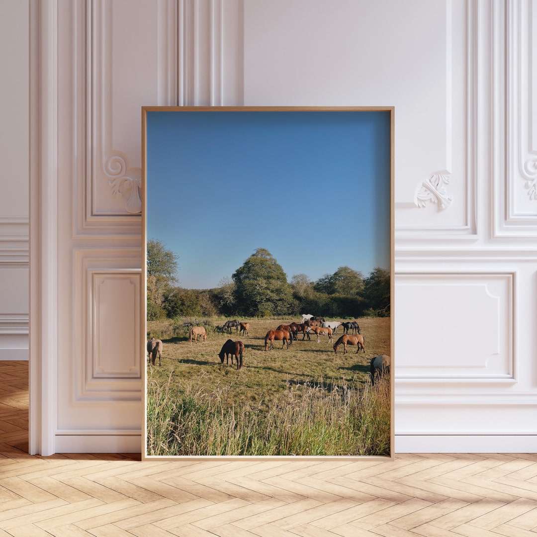 Horse's in Meadow Bend Oregon Photo Print, Summer Day Equestrian Art ...