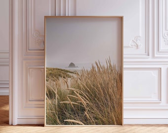May include: A framed photograph of a beach scene with tall grass in the foreground and a rocky island in the distance. The sky is a light blue and the water is a light gray. The photo is framed in a simple wooden frame.