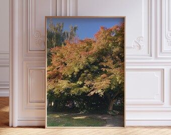 Vibrant Autumn Colors, PNW Nature Decor, Instant Download Fall Foliage, Tree Photography, Nature Inspired Print, Autumn Home Decor