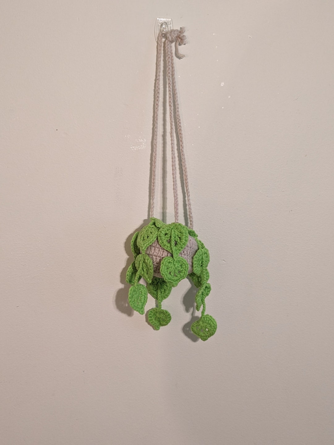 Monstera Hanging Plant Etsy