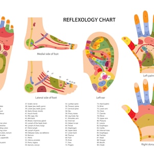 Poster voetreflexologie posterformaat 33 x 18 handen, voeten, oor