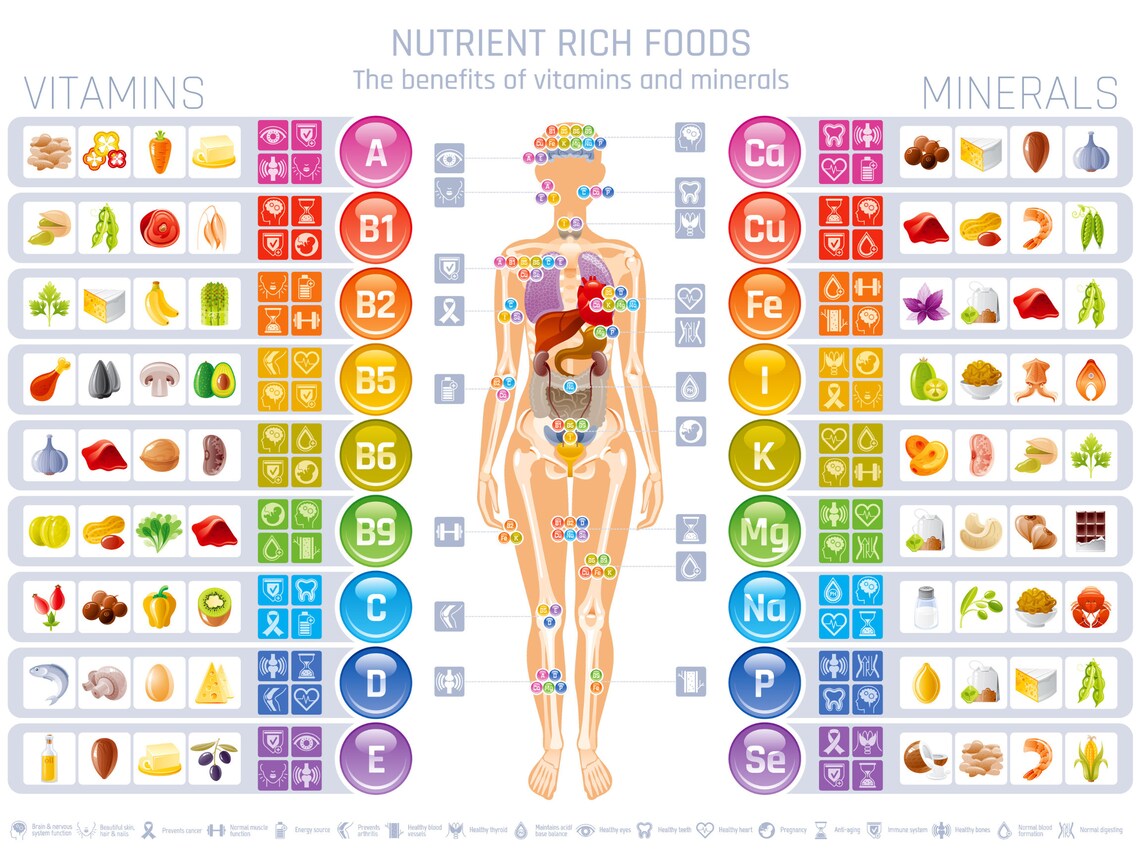 Vitamin and Mineral Chart Digital Poster Size 24x18 Etsy