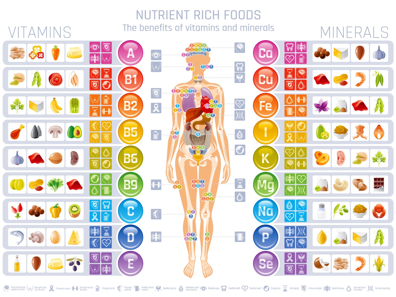 Vitamin and Mineral Chart Digital Poster Size 24x18 Etsy
