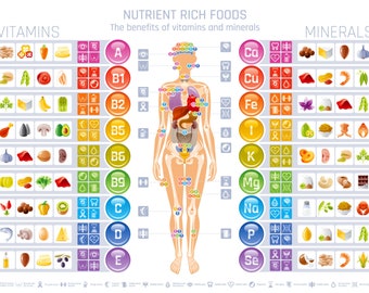 Vitamin and Mineral Chart Digital Poster size 24x18
